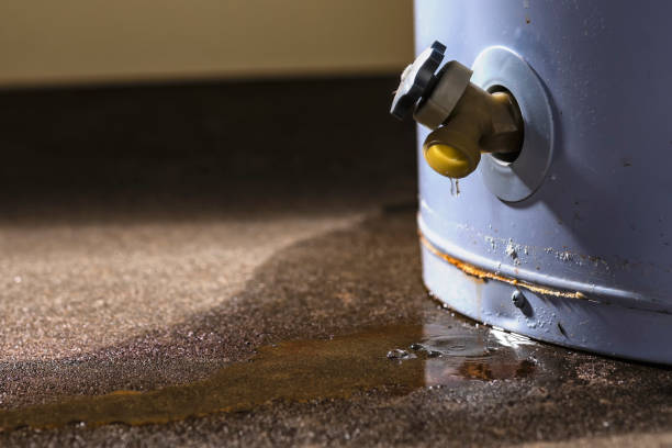 Best Water damage contractors near me  in New Cordell, OK