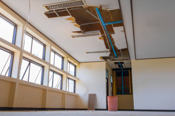 Best Water damage restoration near me  in New Cordell, OK