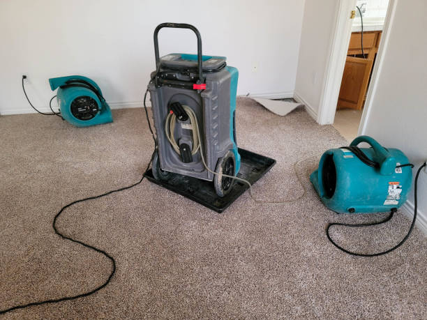Best Professional water damage repair  in New Cordell, OK