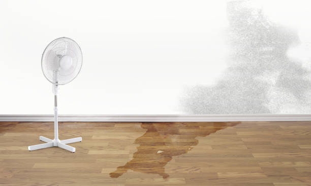 Best Mold removal after water damage  in New Cordell, OK