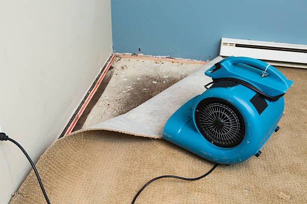 Best Local water damage restoration  in New Cordell, OK